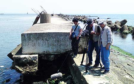 宮城で始まった撮影のようす(宮城県石巻市・旧北上川河口 2011年6月19日)