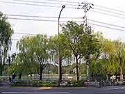 洗足池。帰宅困難者対応訓練(JR東京駅〜神奈川県川崎市中原区・東京都大田区 2006年11月4日)