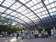 帰宅困難者対応訓練(東京都千代田区日比谷公園〜埼玉県和光市 2008年9月23日)