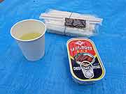 帰宅困難者対応訓練(東京都千代田区日比谷公園〜埼玉県川口市 2009年9月26日)