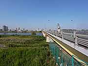 帰宅困難者対応訓練(東京都千代田区日比谷公園〜埼玉県川口市 2009年9月26日)