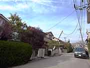 東北地方太平洋沖地震による液状化現象の被害の様子(千葉県浦安市 2011年3月20日)