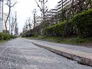 東北地方太平洋沖地震による液状化現象の被害の様子(千葉県浦安市 2011年3月20日)