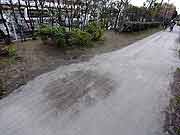 東北地方太平洋沖地震による液状化現象の被害の様子(千葉県浦安市 2011年3月20日)