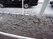 東北地方太平洋沖地震による液状化現象の被害の様子(千葉県浦安市 2011年3月20日)