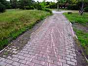 3ヵ月弱が経過した液状化現象被災地の様子(千葉県浦安市高洲地区2011年6月1日)