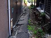 3ヵ月弱が経過した液状化現象被災地の様子(千葉県浦安市入船地区 2011年6月9日)