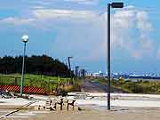 東京湾岸、日の出8丁目の液状化現象の被害の様子(千葉県浦安市 2011年7月9日)