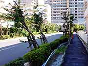 明海地区の液状化現象の被害の様子(千葉県浦安市 2011年7月9日)