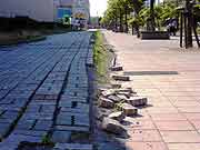 明海地区の液状化現象の被害の様子(千葉県浦安市 2011年7月9日)