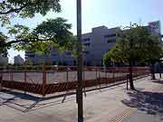 明海地区の液状化現象の被害の様子(千葉県浦安市 2011年7月9日)