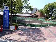 東北地方太平洋沖地震による清新町の液状化現象被害の様子<br />(東京都江戸川区清新町 2011年7月9日)