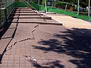 東北地方太平洋沖地震による清新町の液状化現象被害の様子<br />(東京都江戸川区清新町 2011年7月9日)