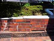 東北地方太平洋沖地震による清新町の液状化現象被害の様子<br />(東京都江戸川区清新町 2011年7月9日)