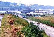 野島断層(淡路島 北淡町・野島地区) 1996年5月