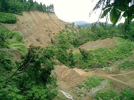 小千谷市塩谷地区の様子 新潟県小千谷市 2005年6月12日)