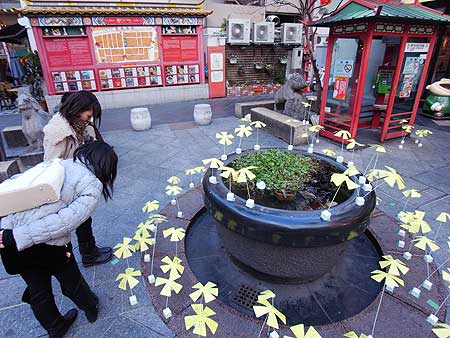 シンサイミライノハナ(神戸市中央区・南京町 2011年1月17日)
