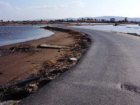 津波によって流された東北楽天ゴールデンイーグルスのキャップ
