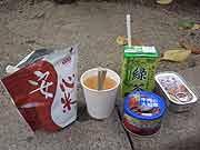 帰宅困難者対応訓練(東京都千代田区日比谷公園〜埼玉県和光市 2008年9月23日)