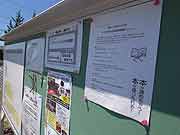 シャンティ国際ボランティア会（SVA）の「いわてを走る移動図書館プロジェクト」の活動(岩手県陸前高田市 2011年7月17日)