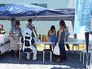 シャンティ国際ボランティア会（SVA）の「いわてを走る移動図書館プロジェクト」の活動(岩手県陸前高田市 2011年7月17日)