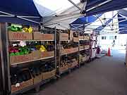 イオンスーパーセンターモビリア出張販売所（オートキャンプ場モビリア内 陸前高田市小友町獺沢仮設団地隣接仮設店舗）(岩手県陸前高田市 2011年7月17日)