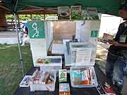 シャンティ国際ボランティア会（SVA）の「いわてを走る移動図書館プロジェクト」の活動(岩手県陸前高田市 2011年7月17日)