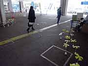 シンサイミライノハナPROJECT2011(神戸市中央区・JR三ノ宮駅 2011年1月16日)