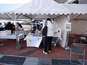 シンサイミライノハナ「1.16みんなの日 元気を未来に」(神戸市中央区・みなとのもり公園[神戸震災復興記念公園] 2011年1月16日)