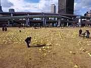シンサイミライノハナ「1.16みんなの日 元気を未来に」(神戸市中央区・みなとのもり公園[神戸震災復興記念公園] 2011年1月16日)