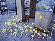 シンサイミライノハナPROJECT2011(神戸市中央区・大丸神戸前 2011年1月17日)