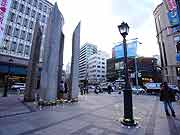 シンサイミライノハナPROJECT2011(神戸市中央区・大丸神戸前 2011年1月17日)