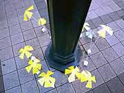 シンサイミライノハナPROJECT2011(神戸市中央区・大丸神戸前 2011年1月17日)