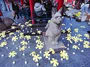 シンサイミライノハナPROJECT2011(神戸市中央区・南京町 2011年1月17日)