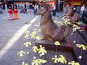 シンサイミライノハナPROJECT2011(神戸市中央区・南京町 2011年1月17日)