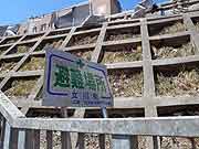 東日本大震災 津波被災地(宮城県女川町 2011年4月17日)