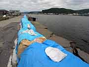 旧北上川沿いの様子 (宮城県石巻市・門脇町3丁目 2011年7月21日)