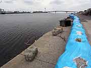 旧北上川沿いの様子 (宮城県石巻市・門脇町3丁目 2011年7月21日)