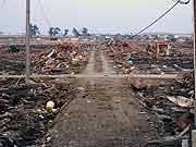 東日本大震災 津波被災地(宮城県名取市 2011年4月13日)