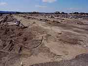 津波で被災した農地の様子(宮城県亘理町・吉田浜 2011年4月12日)