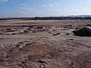 津波で被災した農地の様子(宮城県亘理町・吉田浜 2011年4月12日)