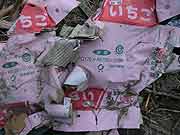 東日本大震災 津波被災地(宮城県亘理町 2011年4月12日)