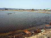 津波で被災した農地の様子(宮城県亘理町・吉田浜 2011年4月13日)
