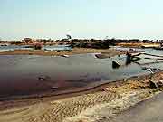 津波で被災した農地の様子(宮城県亘理町・吉田浜 2011年4月13日)