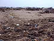 津波で被災した農地の様子(宮城県亘理町・吉田浜 2011年4月14日)