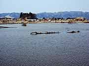 津波で被災した農地の様子(宮城県亘理町・吉田浜 2011年4月14日)