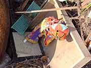 東日本大震災 津波被災地(宮城県亘理町 2011年4月12日)