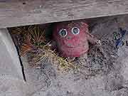 東日本大震災 津波被災地(宮城県亘理町 2011年4月12日)