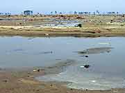 津波で被災した農地の様子(宮城県亘理町・吉田浜 2011年4月15日)