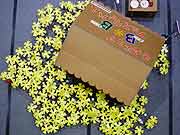 シンサイミライノハナPROJECT2011(東京都江東区・東京臨海広域防災公園 有明の丘基幹的広域防災拠点施設 そなエリア東京 2011年1月23日)